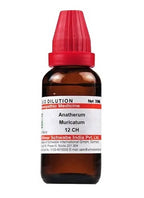 Dr. Willmar Schwabe India Anatherum Muricatum Dilution | Grocsy