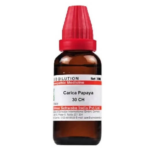 Dr. Willmar Schwabe India Carica Papaya Dilution | Grocsy