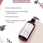 Glamveda Onion Hair Growth Ayurvedic 7 In One Shampoo | Grocsy