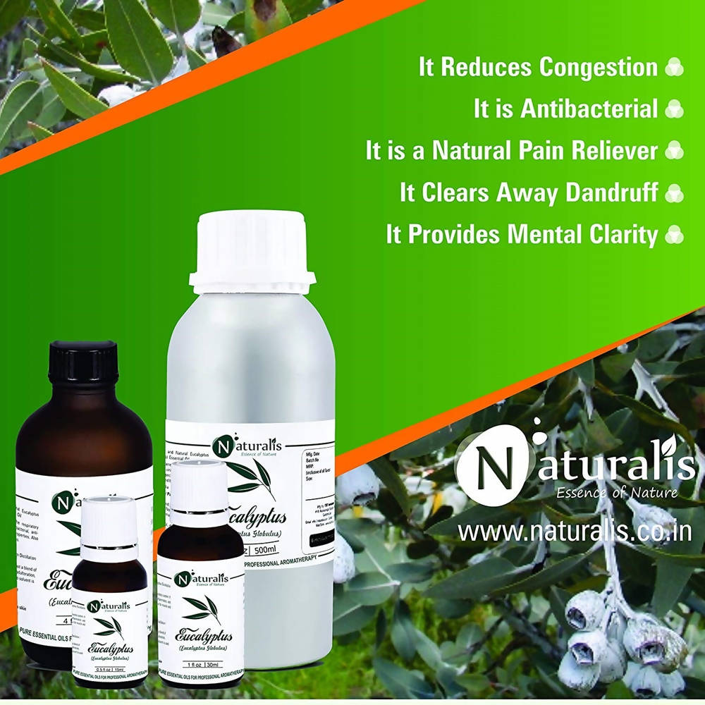 Naturalis Essence of Nature Eucalyptus Essential Oil | Grocsy