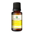 Korus Essential Ylang Ylang Essential Oil - Therapeutic Grade | Grocsy