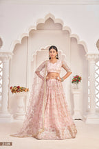 Eilara Women'S Baby Pink Butterfly Net Embroidered Thread Work Party Wear Lehenga Choli | Grocsy