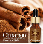Old Tree Cinnamon Essential Oil | Grocsy