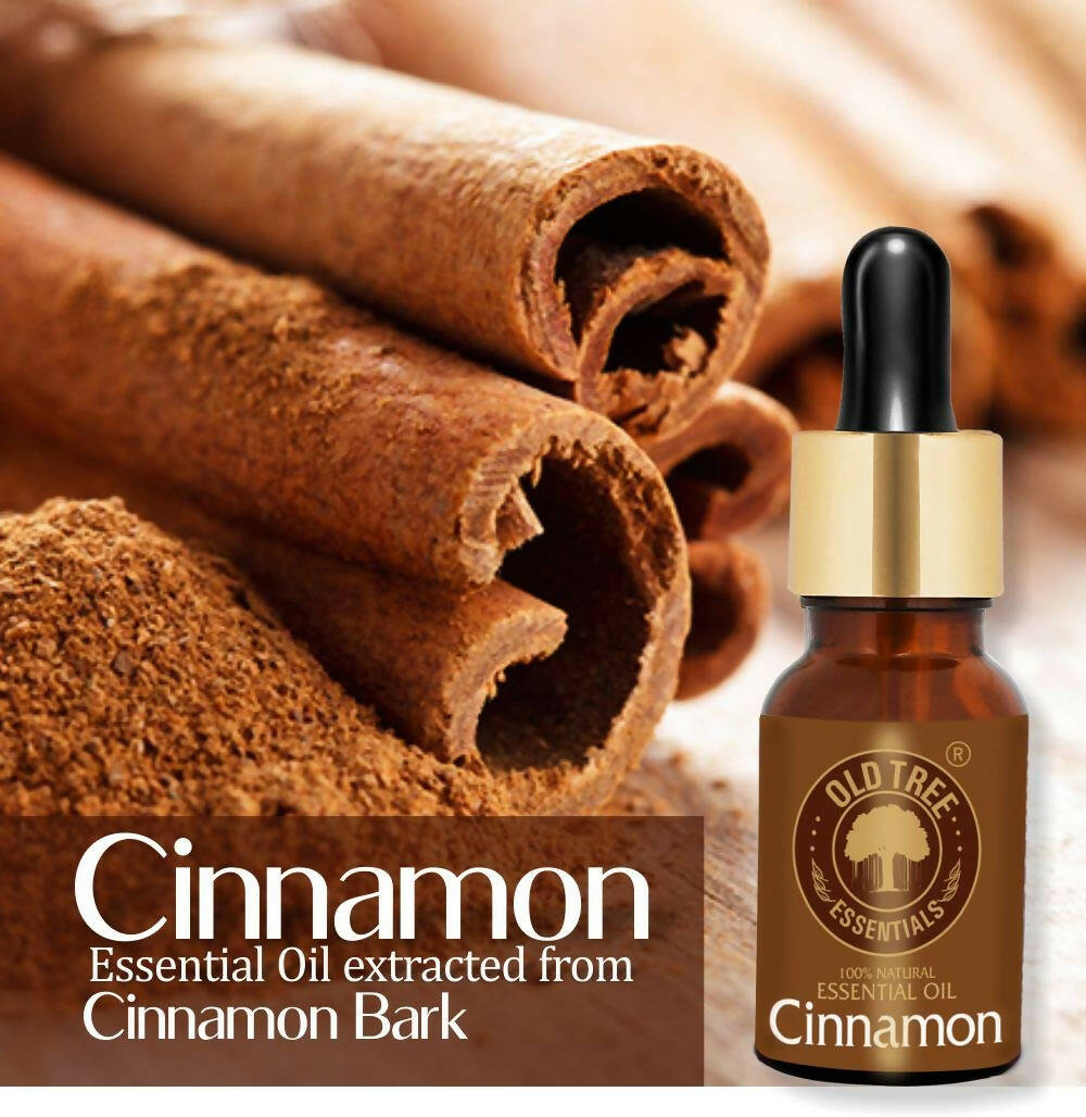 Old Tree Cinnamon Essential Oil | Grocsy