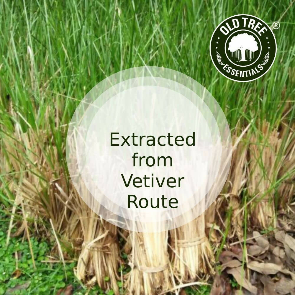 Old Tree Vetiver Essential Oil | Grocsy