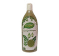 Nesar Moringa Shampoo | Grocsy