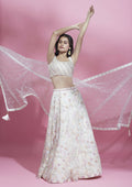 House of Panchhi Cream Net heavy Sequinse embroidery Lehenga choli & Dupatta | Grocsy