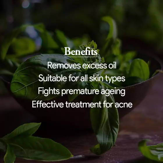 The Wellness Shop Oil Control Face Cleanser | Grocsy