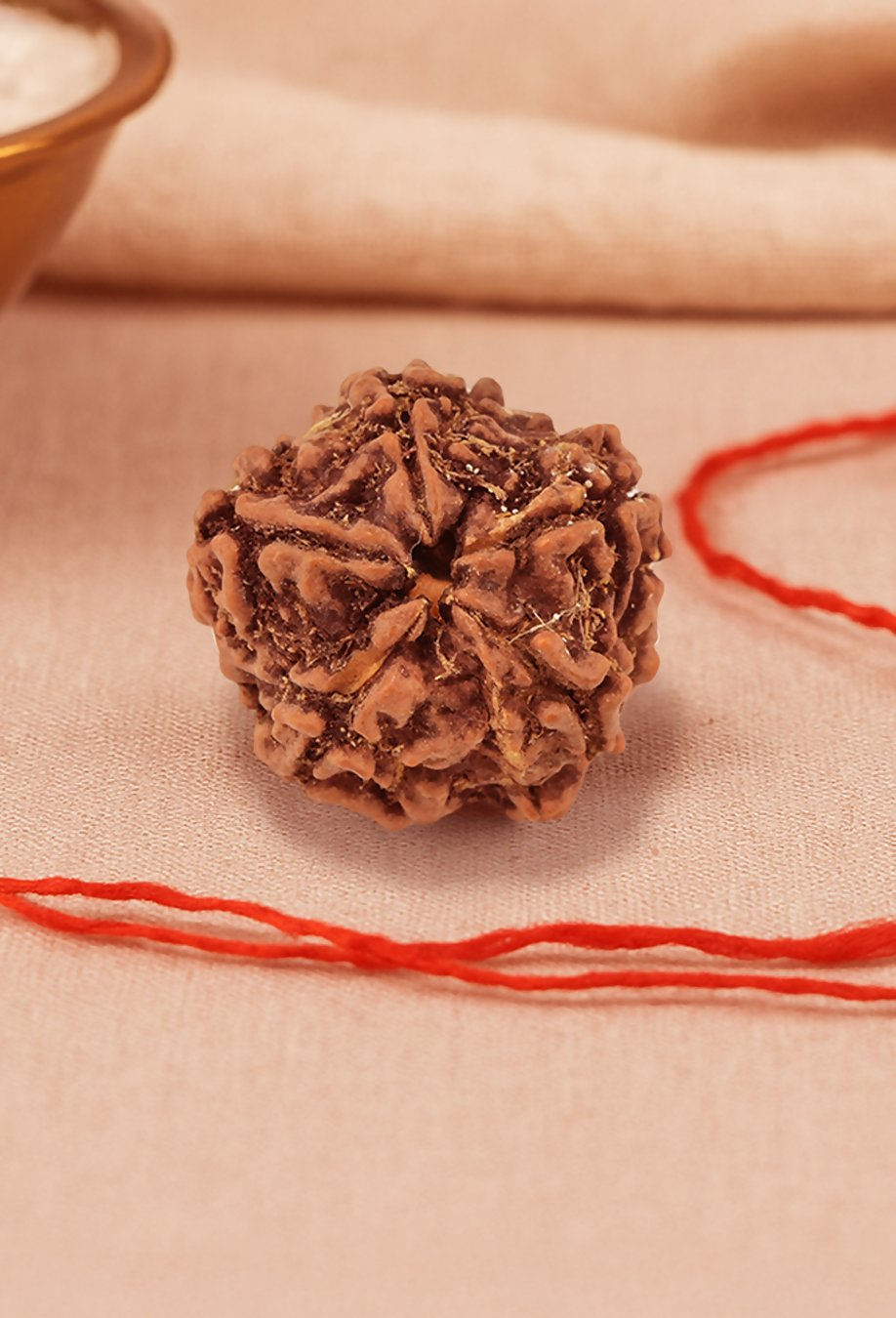 Pujashree Panchmukhi Rudraksh Single Bead – Sacred Five Mukhi Rudraksha for Protection & Peace | Grocsy
