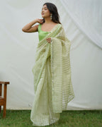 Vamsee Vijaysitara Pista Organza Saree | Grocsy