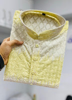 Prazu Fashion Light Green Cotton Embroidered Shading Print Kurta | Grocsy