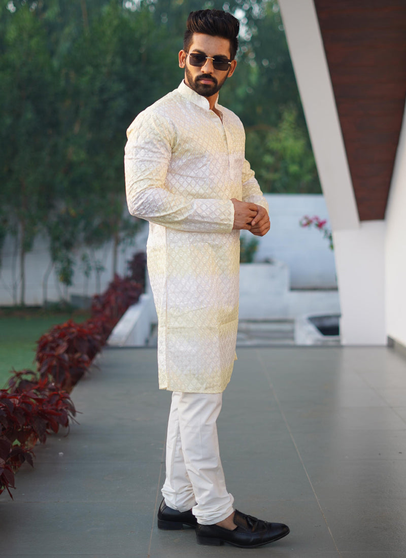 Prazu Fashion Light Green Cotton Embroidered Shading Print Kurta | Grocsy