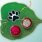 Indianvibez Dog Paw Wooden Rakhi, Cute Pet Animal Themed Rakhi for Brother - Kids Rakhi | Grocsy