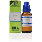 SBL Homeopathy Lupulus Dilution | Grocsy