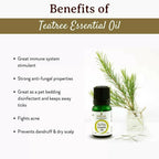 Mitti Se Tea Tree Essential Oil | Grocsy