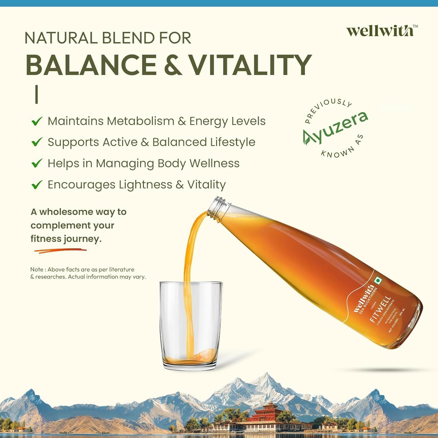 Wellwith Fitwell Juice – Himalayan Sea Buckthorn + Garcinia, Kokum & Punarnava | Grocsy