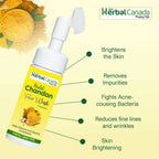 Herbal Canada Haldi Chandan Foaming Face Wash | Grocsy