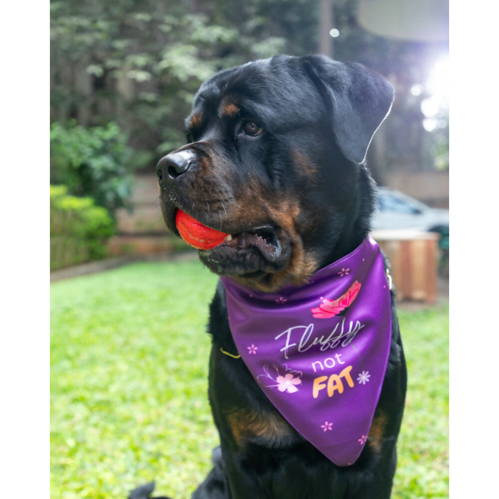 Waggety Dog Bandana - Fluffy Not Fat, Design Soft Fabric, Stylish Pet Accessory for Dogs - Purple | Grocsy