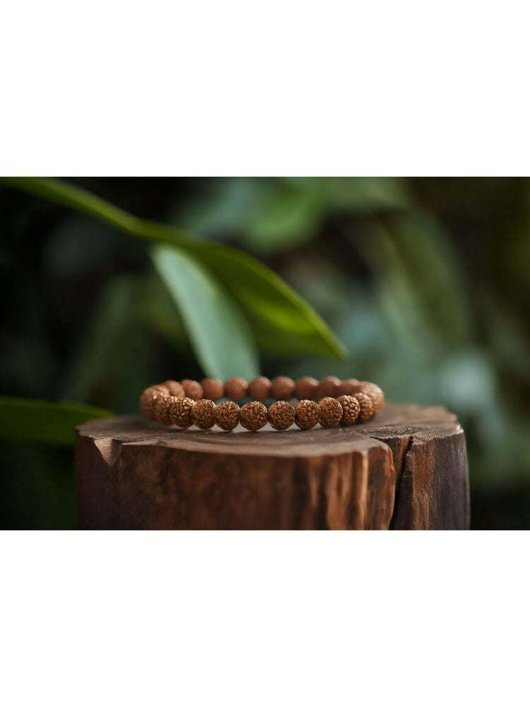 NVR 5 Mukhi Rudraksha Stretchable Bracelet