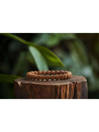 NVR 5 Mukhi Rudraksha Stretchable Bracelet