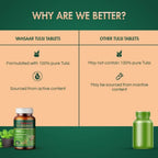 Baidyanath Vansaar Tulsi Tablets | Grocsy