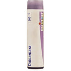 Boiron Homeopathy Dulcamara | Grocsy