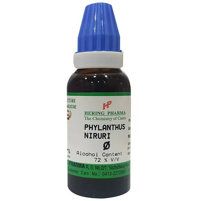 Hering Pharma Phylanthus Niruri Mother Tincture Q | Grocsy