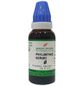 Hering Pharma Phylanthus Niruri Mother Tincture Q | Grocsy