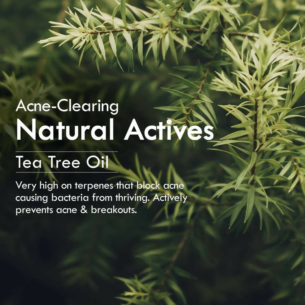 Nat Habit Bitter Neem Tikta Gel Face Wash | Grocsy
