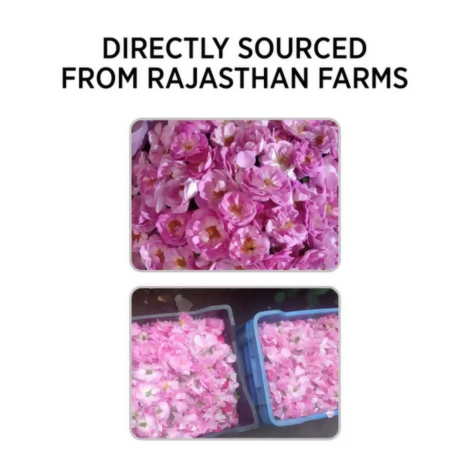 Alps Goodness Rose Petal Beauty Mask for Skin | Grocsy