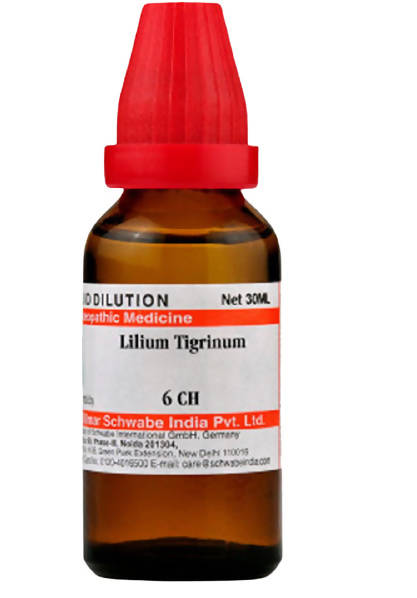 Dr. Willmar Schwabe India Lilium Tigrinum Dilution | Grocsy