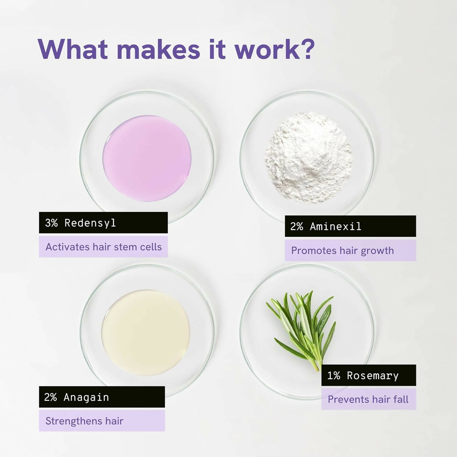 BeBodywise Rosemary Hair Growth Serum (Roll On) | Grocsy