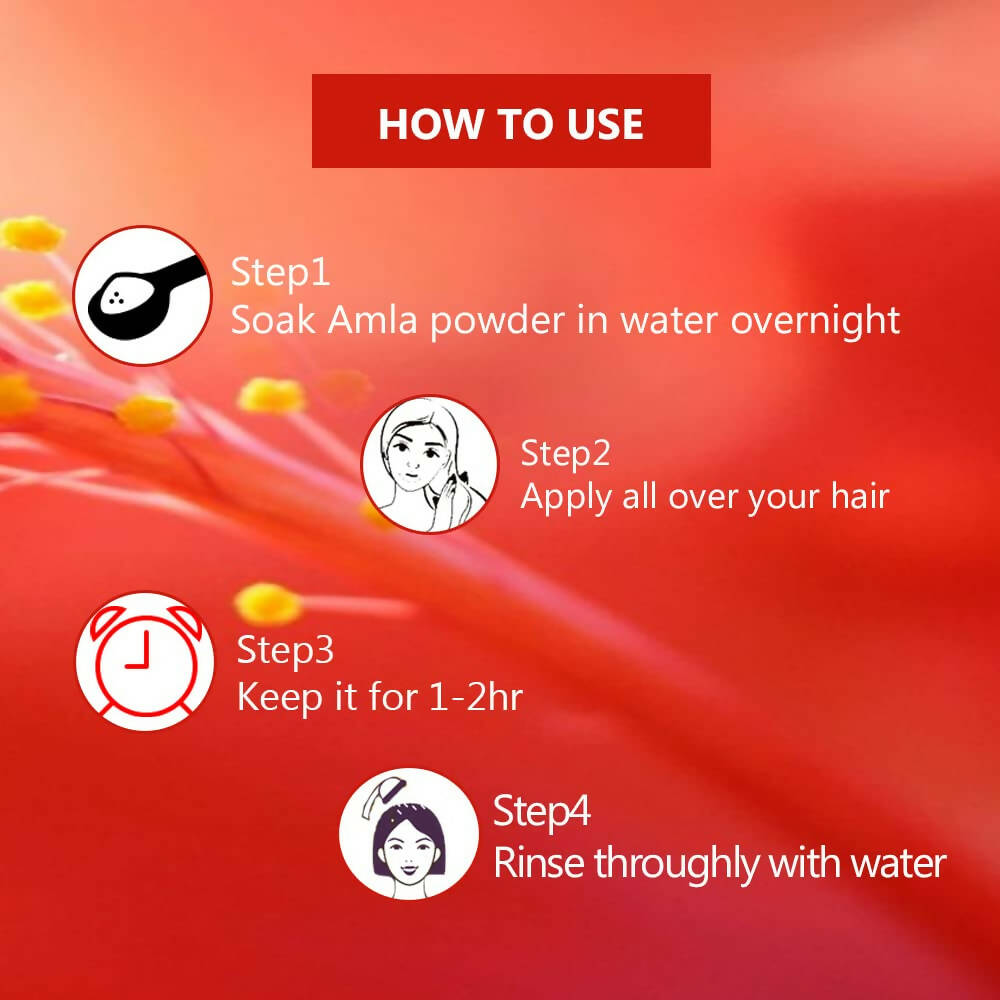 Syndy Pharma Hibiscus Powder for Hair | Grocsy