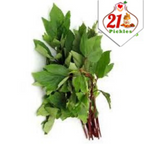 21Pickles Gongura Pickle