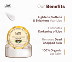 Love Earth Organic Coconut Lip Balm | Grocsy