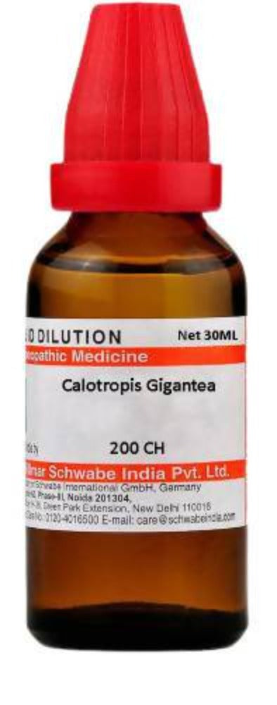 Dr. Willmar Schwabe India Calotropis Gigantea Dilution | Grocsy