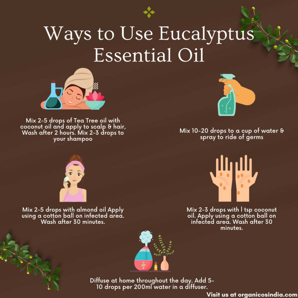 Organicos Eucalyptus Essential Oil | Grocsy