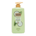 Pearlville Coconut Essential Shampoo | Grocsy