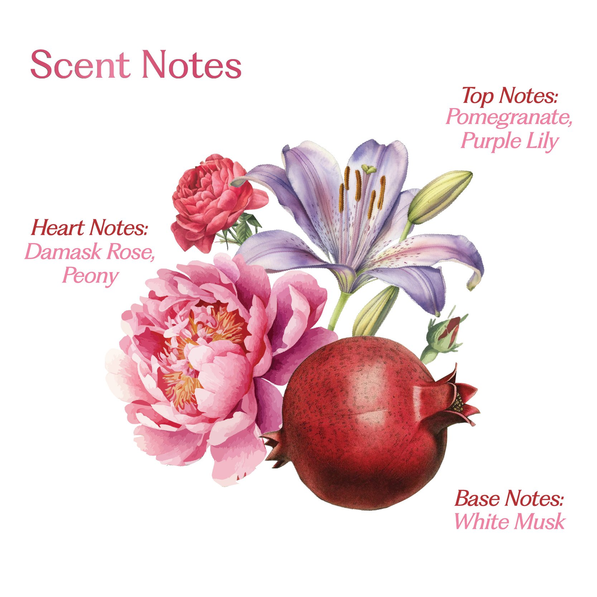 Sacred Grove Rani Baug: Hair Perfume For Women | Grocsy