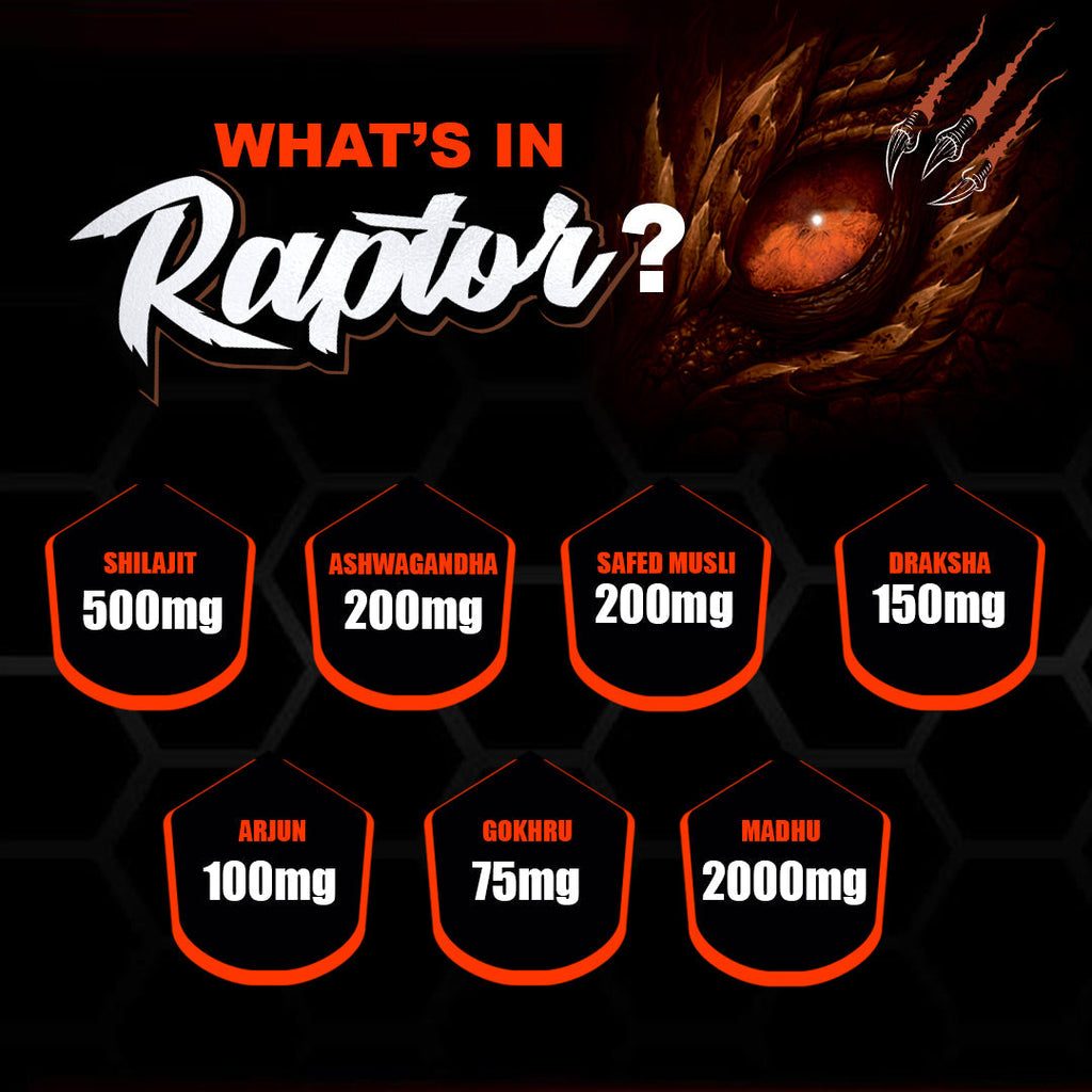 Dr Morpen Raptor | Grocsy