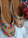 Desi Colour Women Indian Ethnic Footwear-Colour Wave | Grocsy