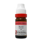 Dr. Reckeweg Mercurius Sublimate Dilution | Grocsy