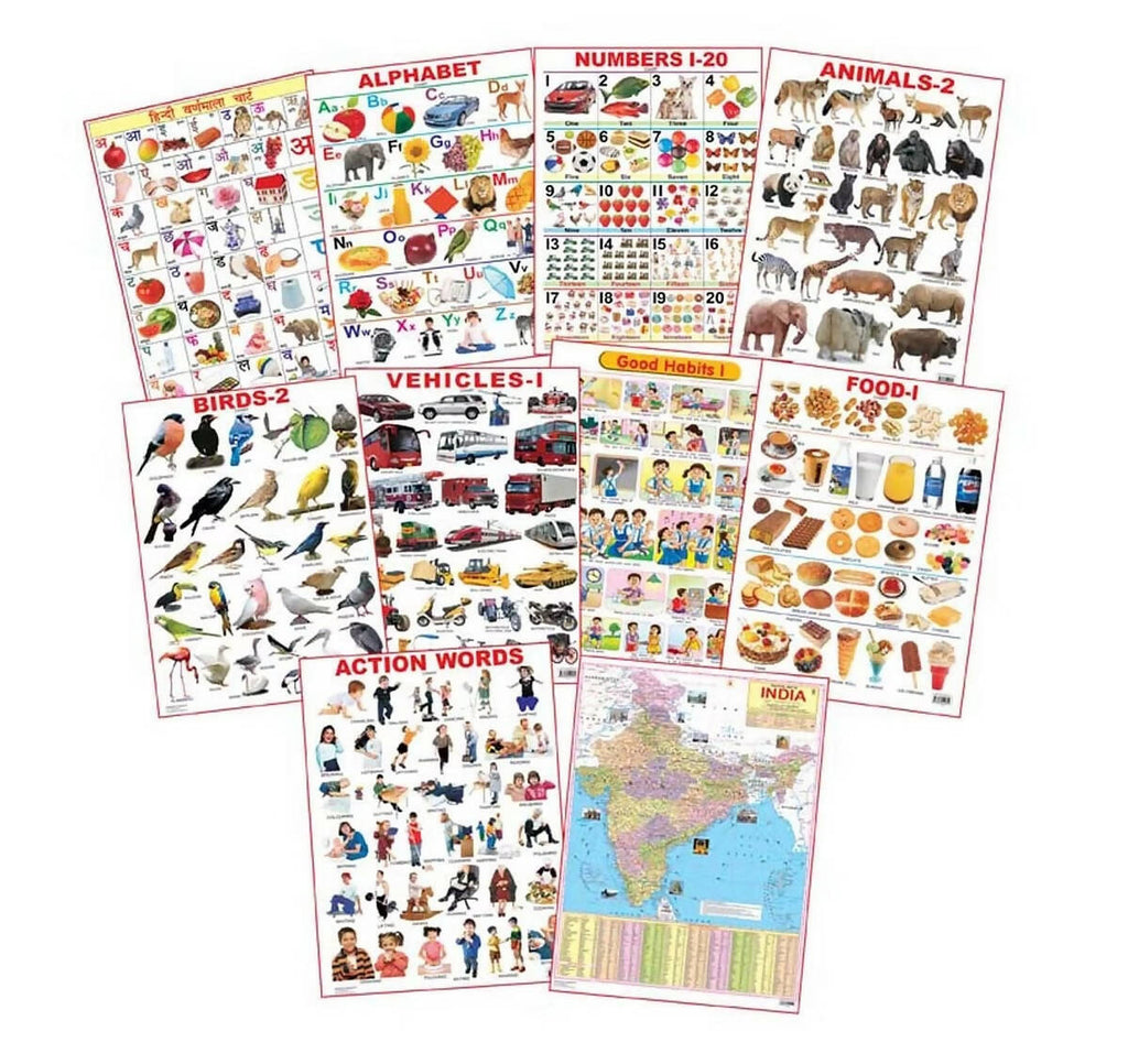 Dreamland Educational Charts - Combo 2 (10 Charts) : Children Early Learning Laminated Chart | Grocsy