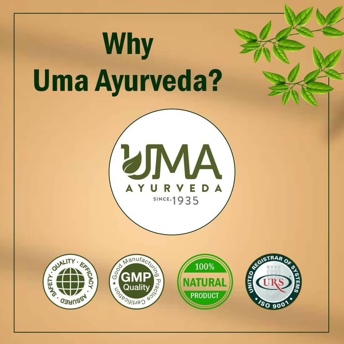 Uma Ayurveda Sanjeevani Vati | Grocsy