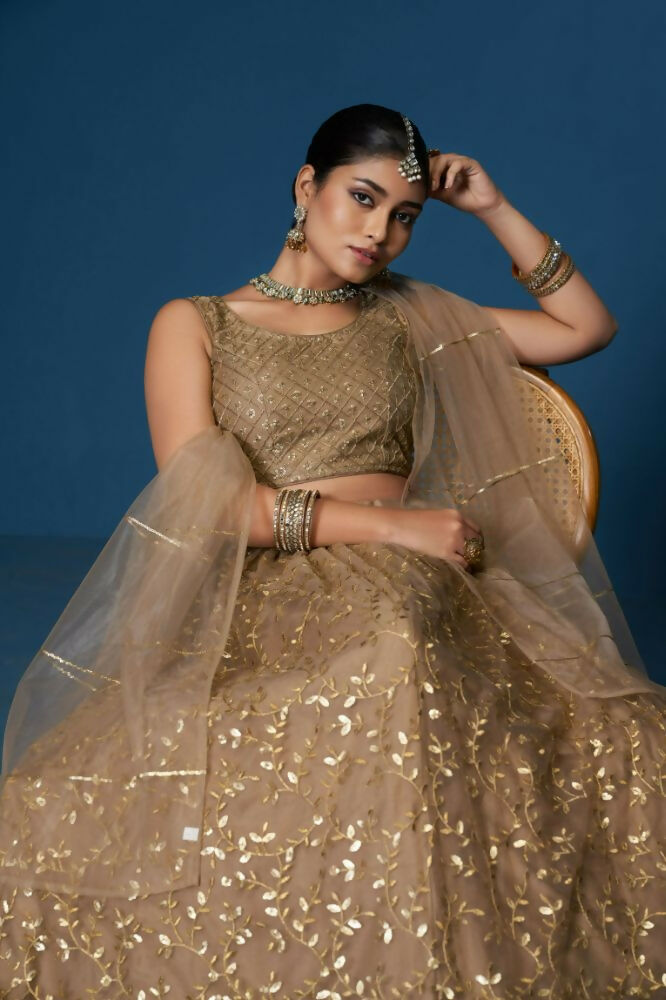 Brown Soft Netzari Embroidery Work Lehenga Choli - Jihu Culture | Grocsy