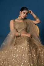 Brown Soft Netzari Embroidery Work Lehenga Choli - Jihu Culture | Grocsy