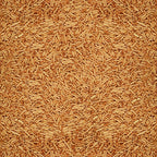 Confect Rose Gold Vermicelli Sprinkles | Grocsy