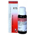 Dr. Reckeweg R75 Dysmenorrhoea Drops | Grocsy