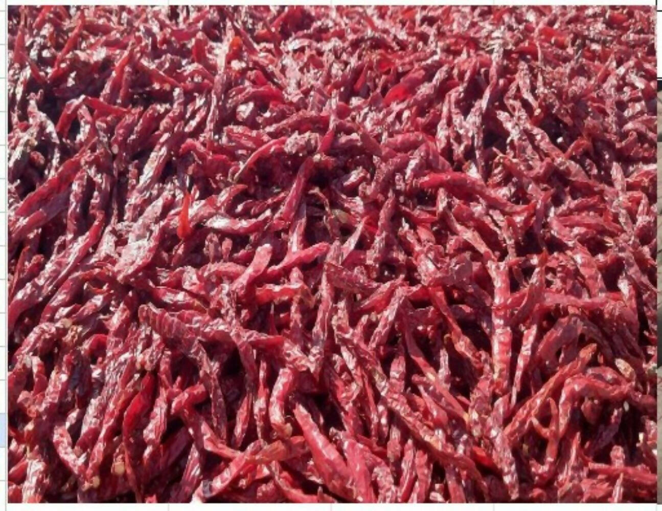 Namma Byadgi's Mirchi Kit - Dry Red Chillies & Chilli Powder | Grocsy