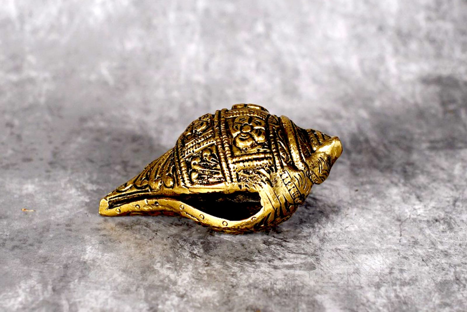 Sri Rudra Shanku Small (2.5X3.6) – SR 02240 | Grocsy